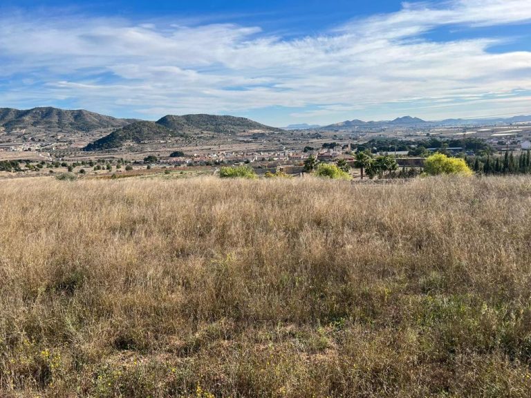 WhatsApp Image 2023-07-13 at 12.52.58